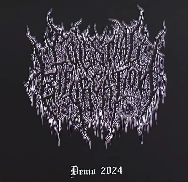 Demo 2024 cover