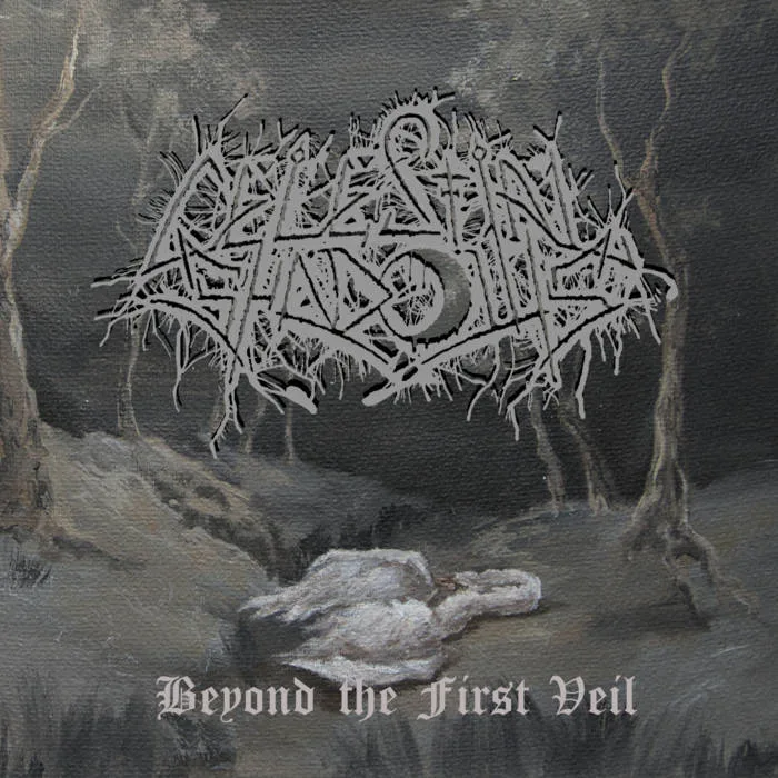 Beyond the First Veil cover