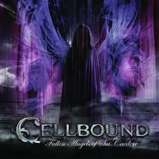 Fallen Angels of Sui Caedere cover