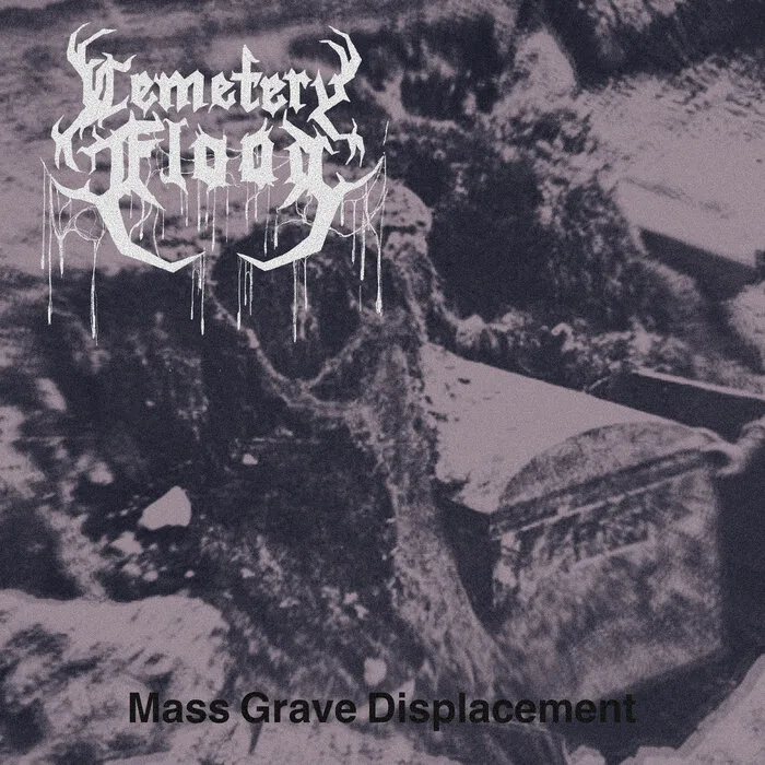 Mass Grave Displacement cover