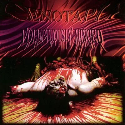 Voluptuously Minced cover