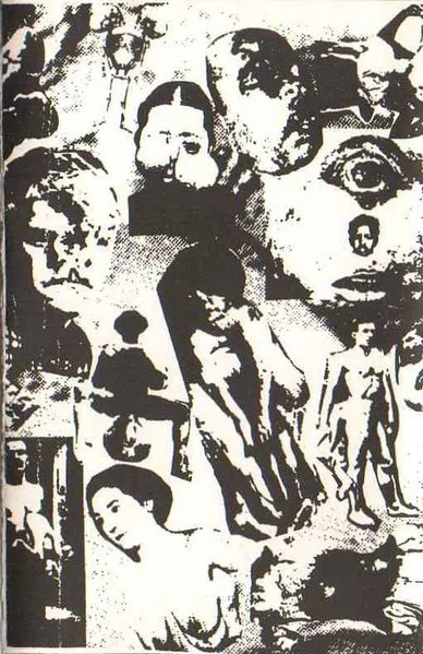 Fortuitous Oddity cover