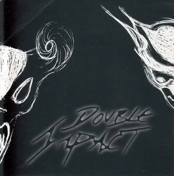 Double Impact cover