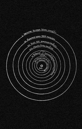 Tweeslachtigheid cover