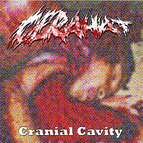 Cranial Cavity cover