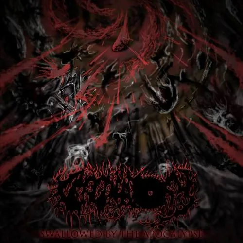 Swallowed by the Apocalypse cover