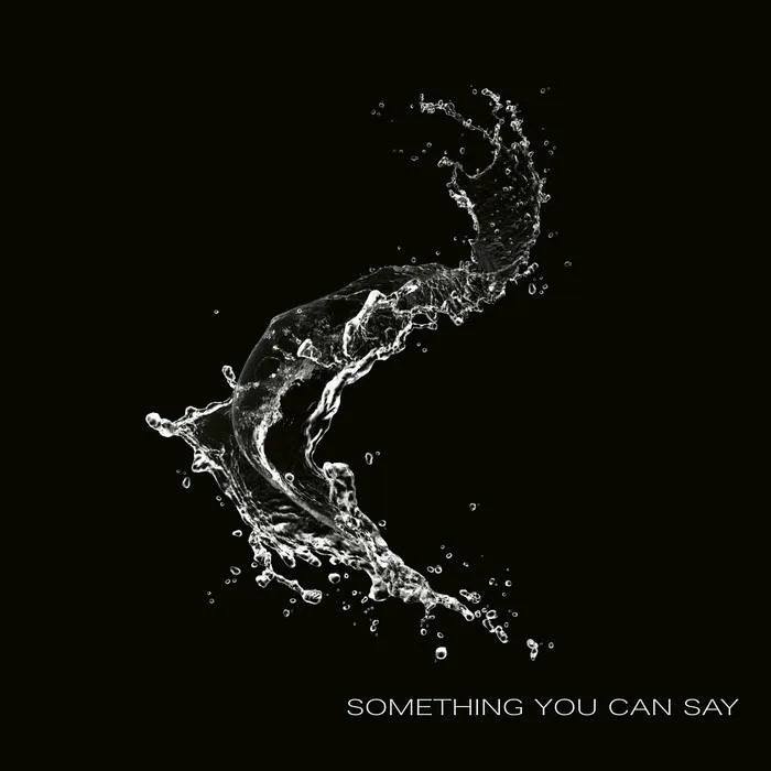 Something You Can Say cover