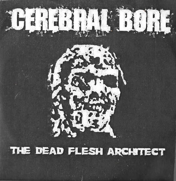 The Dead Flesh Architect cover