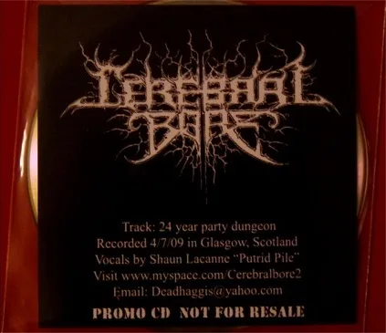 24 Year Party Dungeon cover