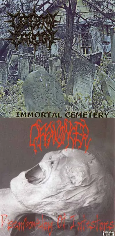 Immortal Cemetery / Disemboweling of Intestines cover