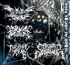 The Stage of Decay cover