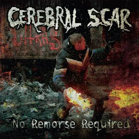 No Remorse Required cover