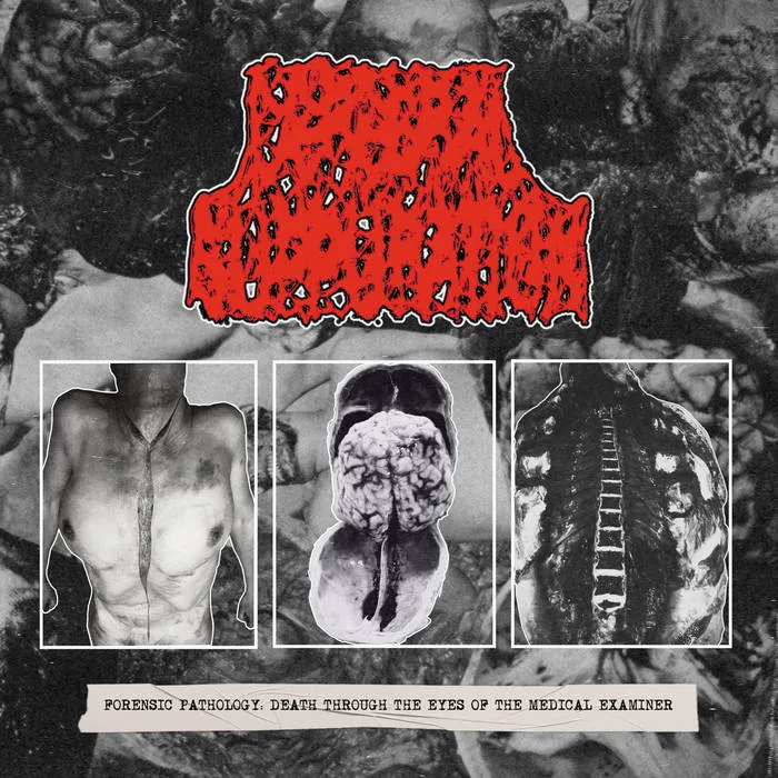 Forensic Pathology: Death Through the Eyes of the Medical Examiner cover