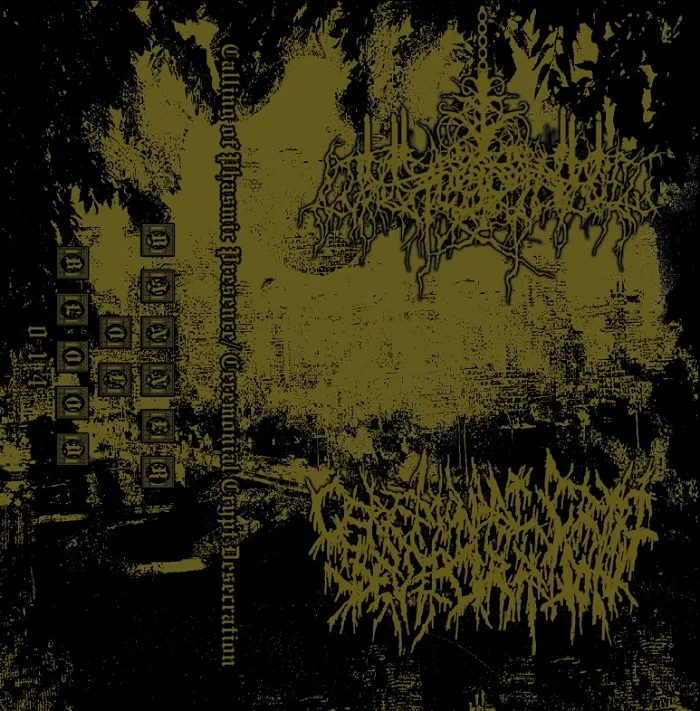 Calling of Phasmic Presence / Ceremonial Crypt Desecration cover