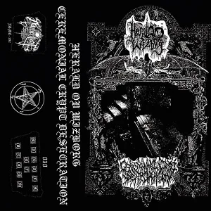 Herald ov Wizborg / Ceremonial Crypt Desecration cover