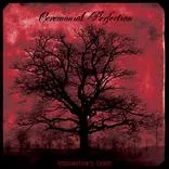 Imagination's Chaos cover