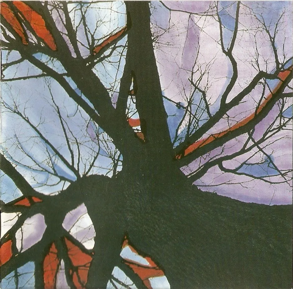 Into the Autumn Shade cover