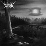 The Void cover