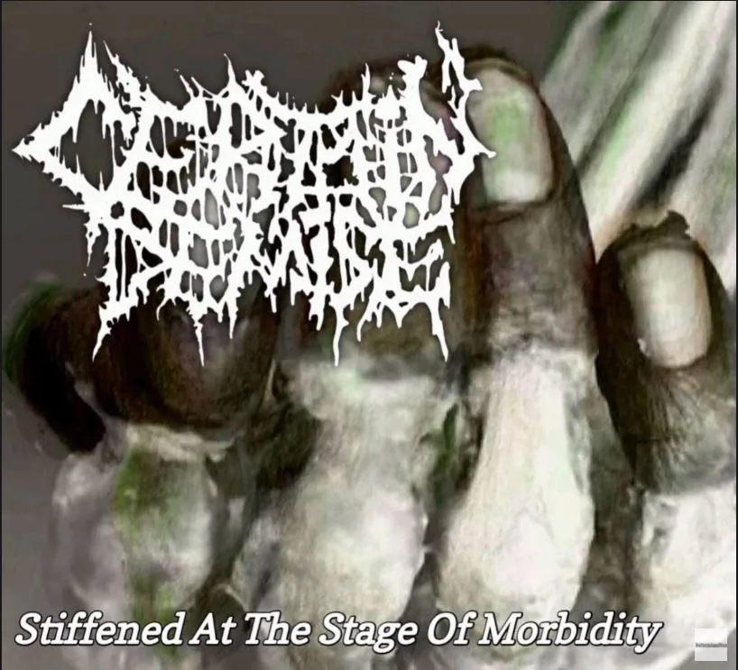 Stiffened at the Stage of Morbidity cover