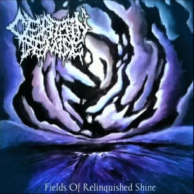 Fields of Relinquished Shine cover