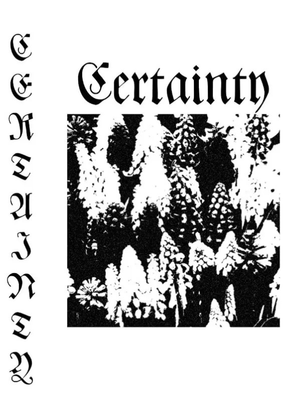 Demo I cover
