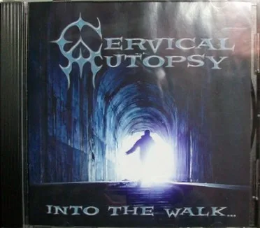 Into the Walk... cover