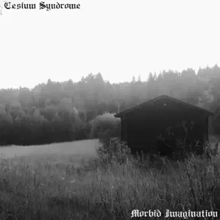 Morbid Imagination cover