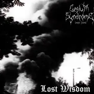 Lost Wisdom cover