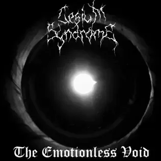 The Emotionless Void cover