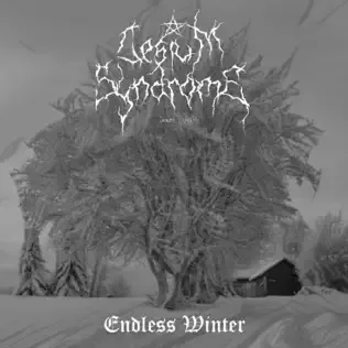 Endless Winter cover