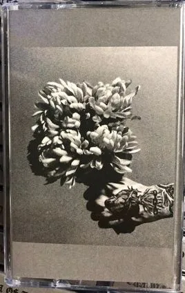 Behind the Veil Inside the Machine cover