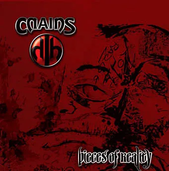 Pieces of Reality cover