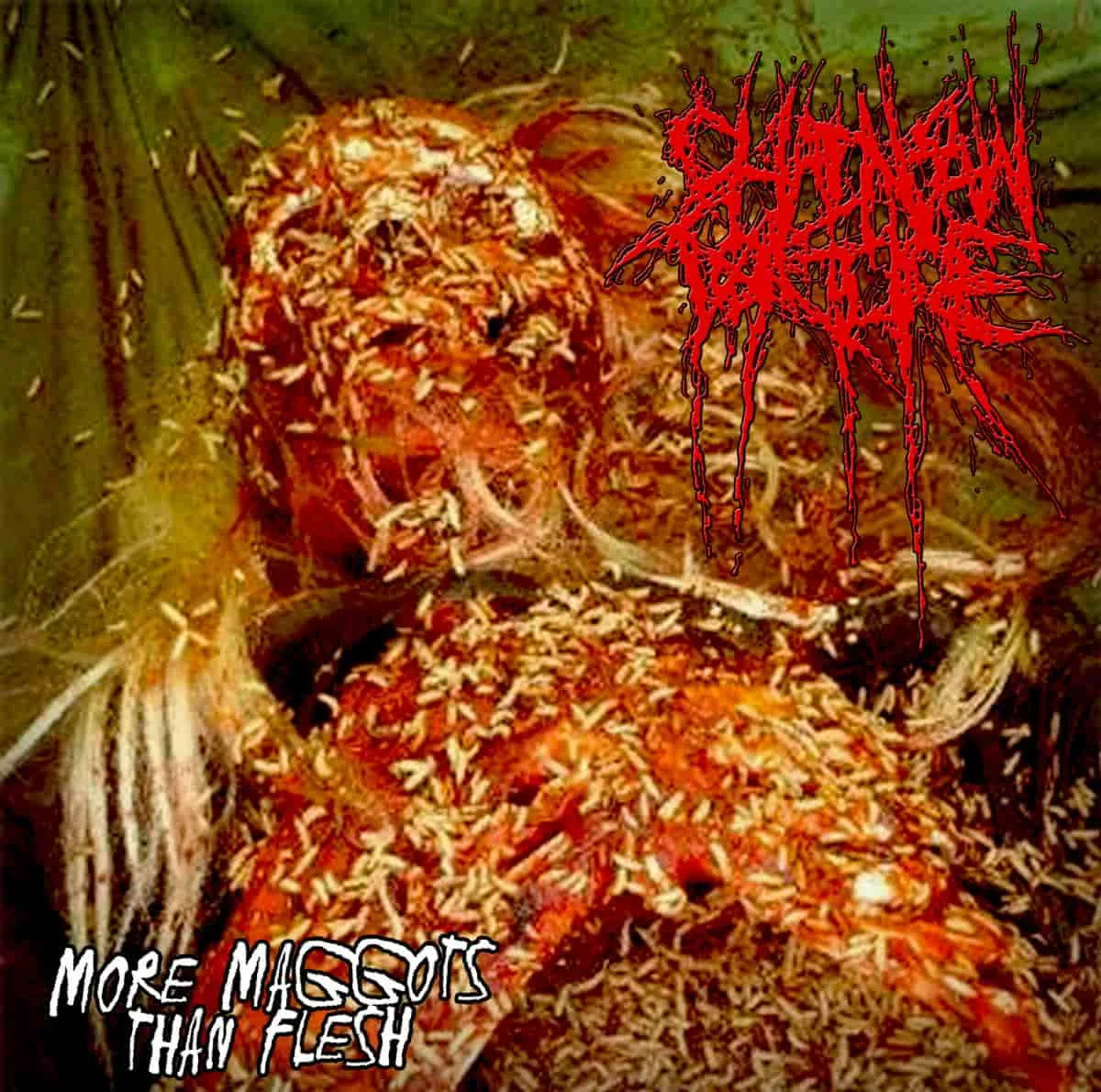 More Maggots than Flesh cover