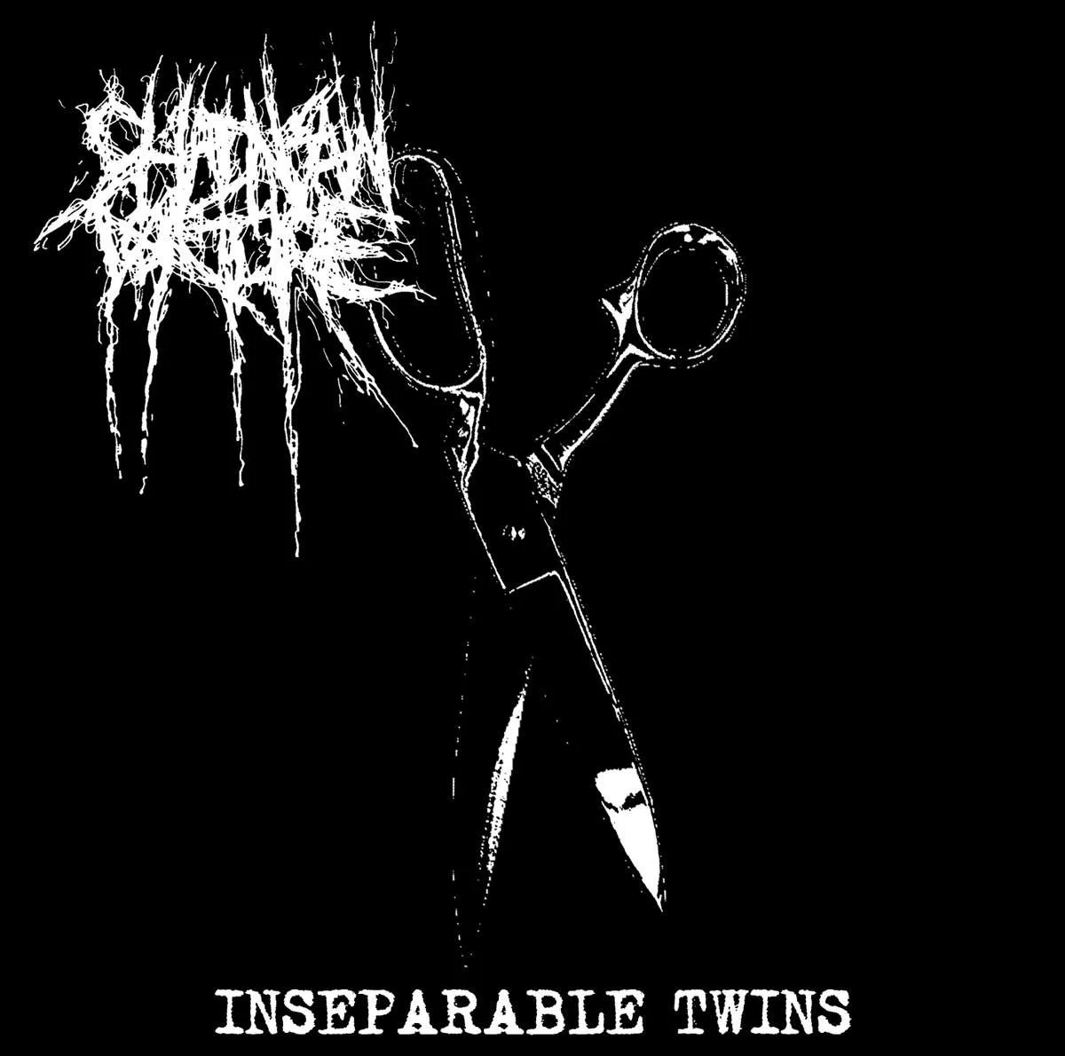 Inseparable Twins cover