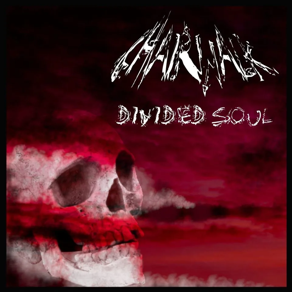 Divided Soul cover