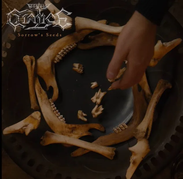 Sorrow's Seeds cover