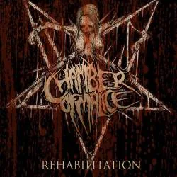 Rehabilitation cover