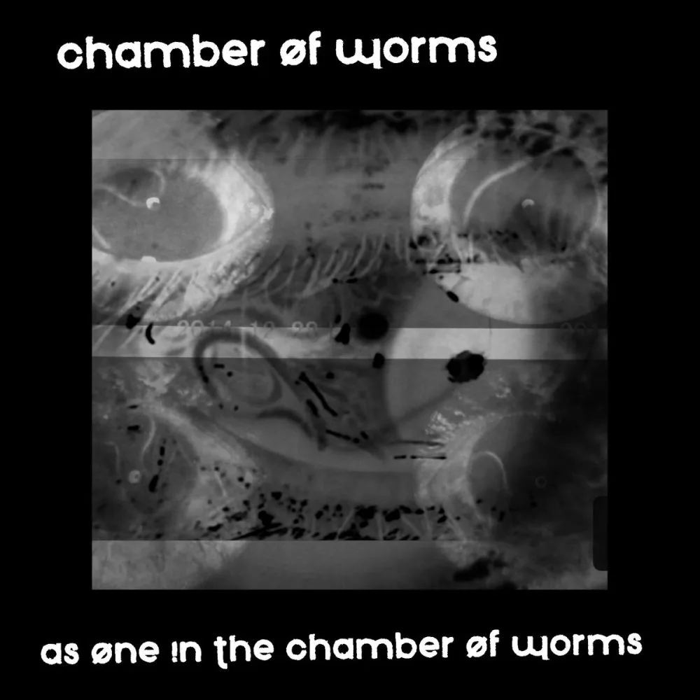 As One in the Chamber of Worms cover