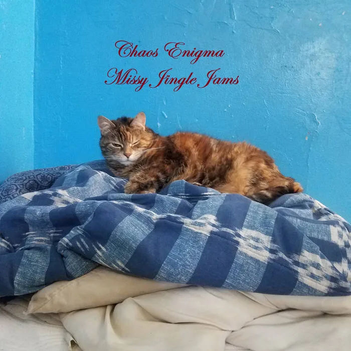 Missy Jingle Jams cover