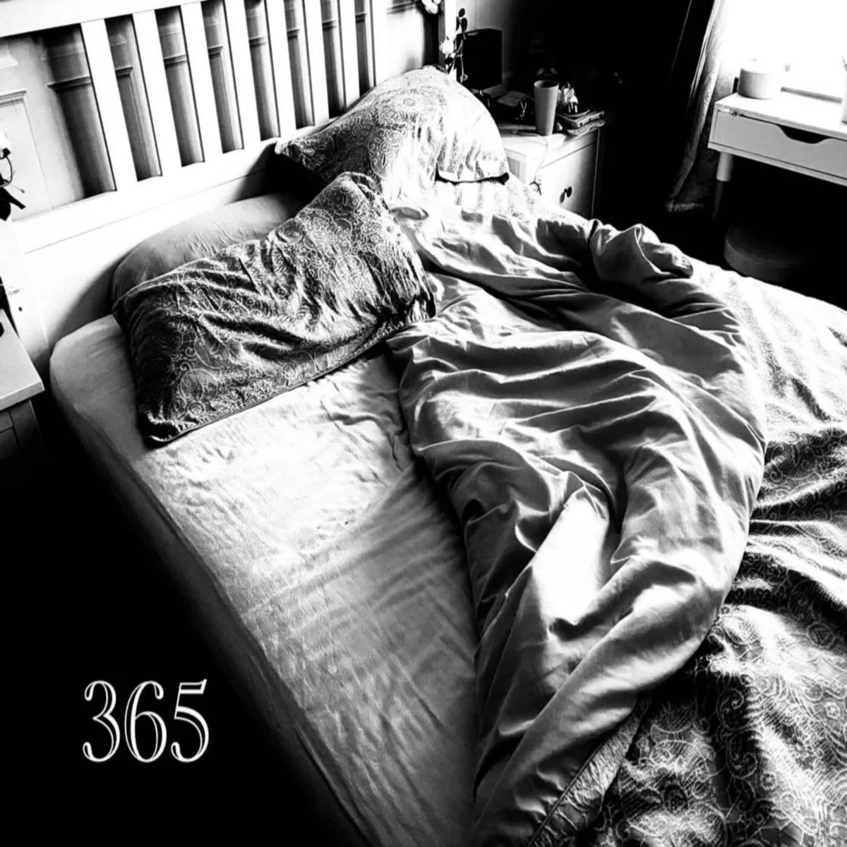 365 cover