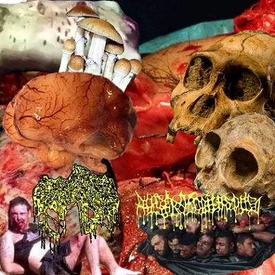 Charcuterie / Australopithecus cover
