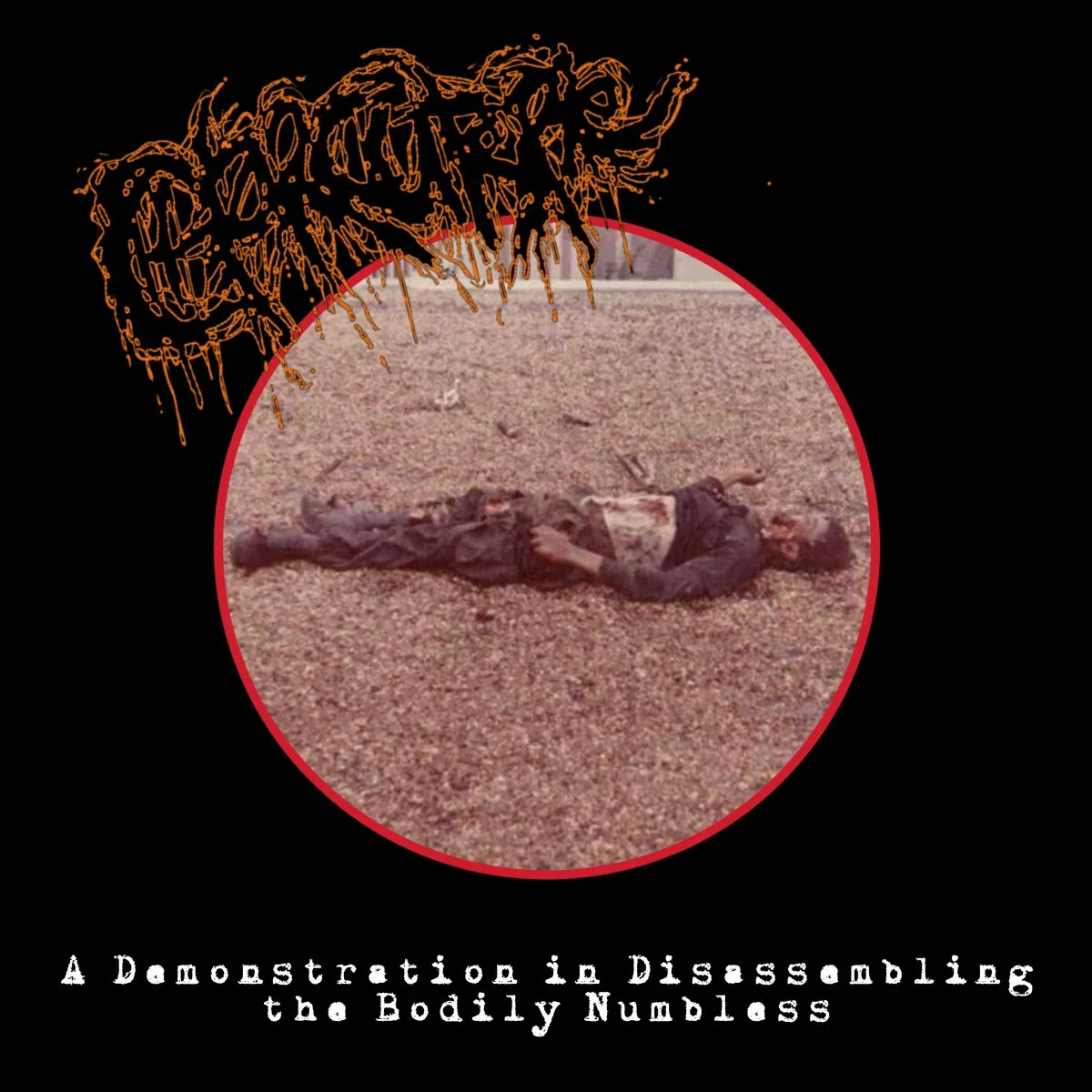 A Demonstration in Disassembling the Bodily Numbless cover