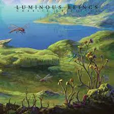 Luminous Beings cover
