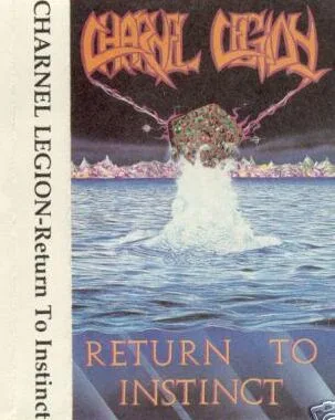 Return to Instinct cover