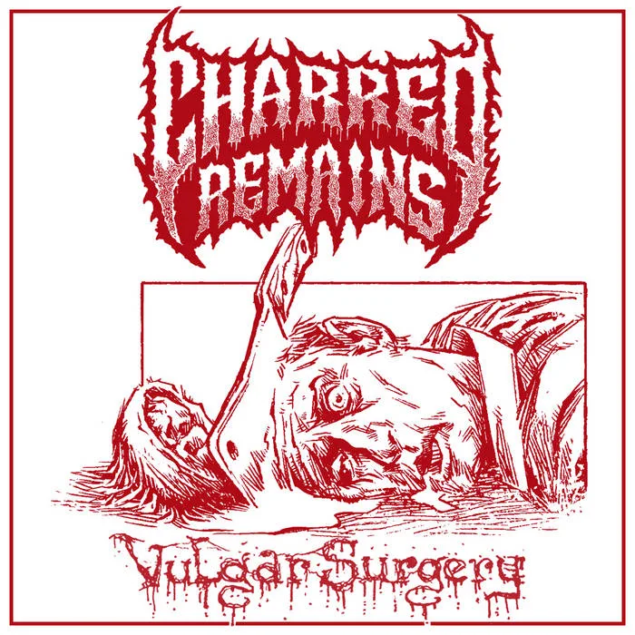 Vulgar Surgery cover