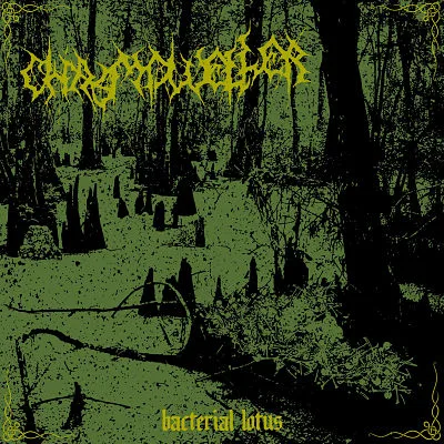 Bacterial Lotus cover