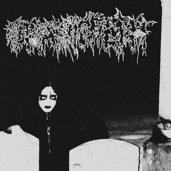 Under the Flesh of Decay cover