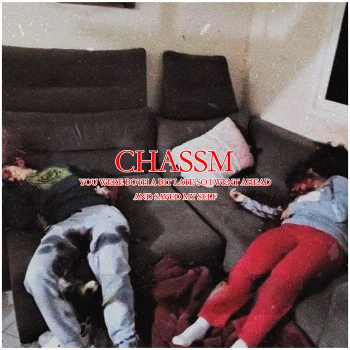 You Were Both A Bit Late So I Went Ahead And Saved Myself cover