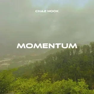 Momentum cover