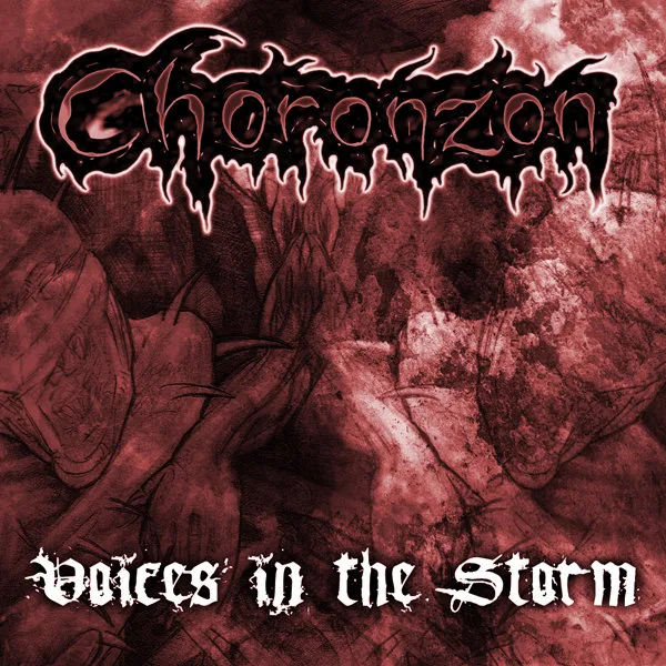 Voices in the Storm cover
